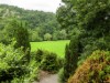 Bild 15