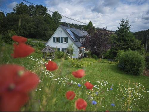 Semesterhus/Semesterlägenhet - 6 personer -  - Am Homberg - 57319 - Bad Berleburg