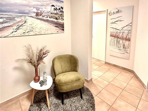 Ferieleilighet - 3 personer -  - Hafenstrasse - 18374 - Zingst (Ostseeheilbad)