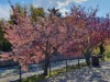 Image 25