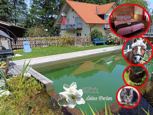Bauernhof - 4 Personen -  - Steinhaus - 88285 - Bodnegg