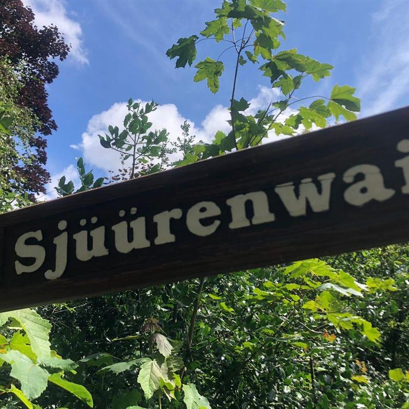 Ferielejlighed - 4 personer -  - Sjüürenwai - 25946 - Norddorf/Amrum