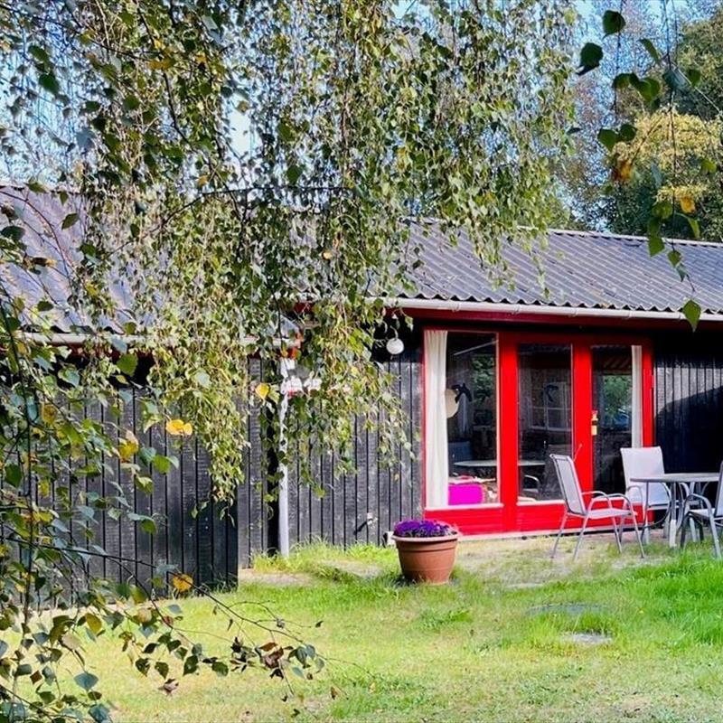 Sommerhus - 3 personer -  - Gyvelvej - Rørvig - Strandsiden - 4500 - Nykøbing Sj