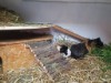 Bilde 5