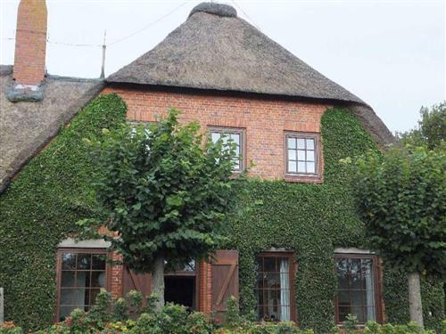 Ferielejlighed - 4 personer -  - Traumstraße - 25938 - Goting