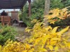 Bild 17