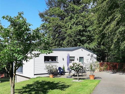 Holiday home - 4 persons -  - Im Flößwehrtal - 37431 - Bad Lauterberg