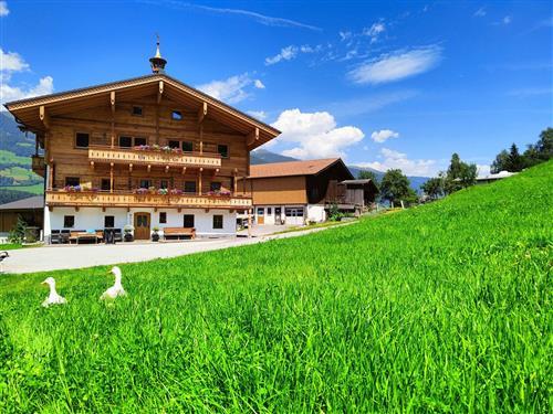 Bondegård - 6 personer -  - Mühlnerweg - 5730 - Mittersill