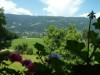 Bild 83
