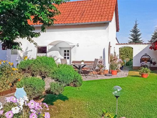 Holiday home - 3 persons -  - Neue Reihe - 17373 - Ueckermünde Ot Bellin