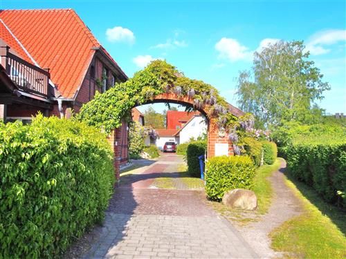 Ferieleilighet - 4 personer -  - Birkmaase - 18374 - Ostseeheilbad Zingst