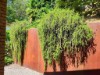 Image 33 - Outside