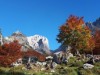 Bild 18