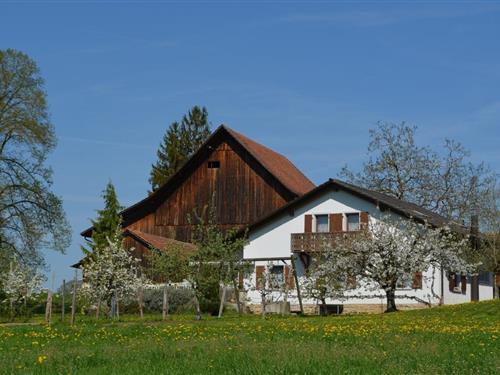 Semesterhus/Semesterlägenhet - 5 personer -  - Champ du Fol - 2906 - Chevenez