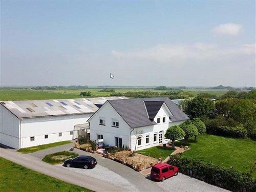 Ferielejlighed - 4 personer -  - Brösumer Straße - 25826 - St. Peter-Ording