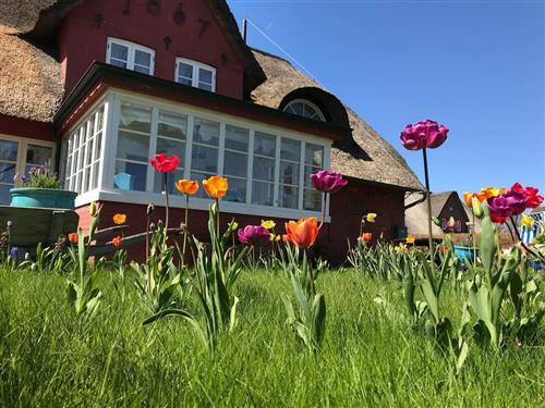 Holiday apartment - 2 persons -  - Waasterstigh - 25946 - Nebel / Süddorf