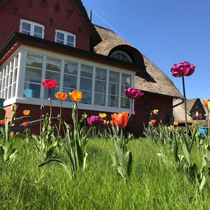 Ferielejlighed - 2 personer -  - Waasterstigh - 25946 - Nebel / Süddorf