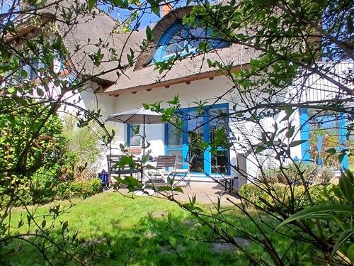 Ferielejlighed - 2 personer -  - Bliesenrader Weg - 18375 - Born Am Darß