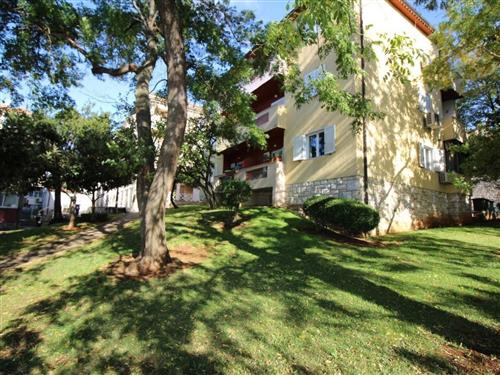 Holiday apartment - 4 persons -  - Porec - 52440