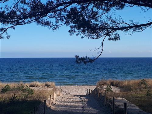 Ferielejlighed - 3 personer -  - Wilhelmstrasse - 18586 - Göhren (Ostseebad)