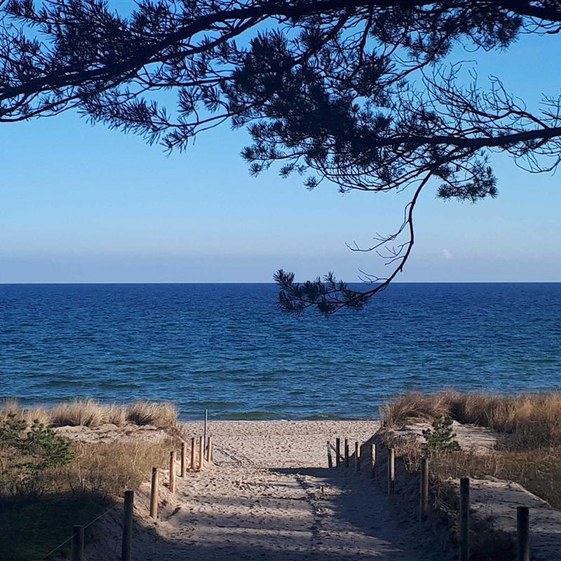 Ferielejlighed - 3 personer -  - Wilhelmstrasse - 18586 - Göhren (Ostseebad)
