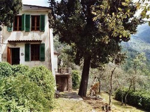 Holiday Home/Apartment - 5 persons -  - Via dei Tardoni - 55041 - Casoli Di Camaiore