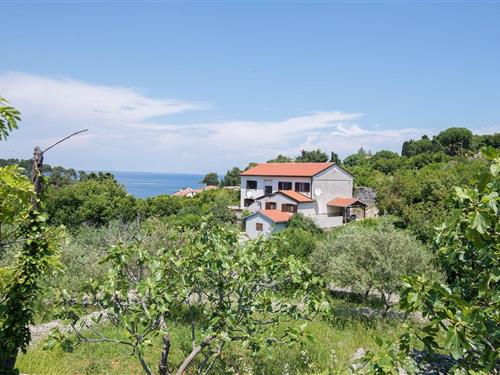 Holiday Home/Apartment - 4 persons -  - Veli Lošinj - 51551 - Veli Lošinj