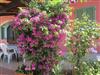 Bild 23 - Aussen
