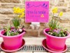 Bilde 8