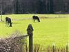 Bild 20 - Aktivitet