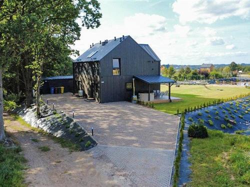 Ferienhaus - 6 Personen -  - Sianowo - Kartuzy - 83-328 - Sianowo