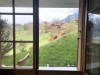 Bild 19 - Ude