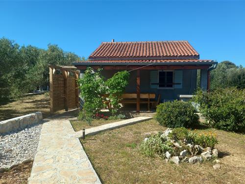 Fritidshus - 6 personer -  - Žižanj - 23212 - Žižanj