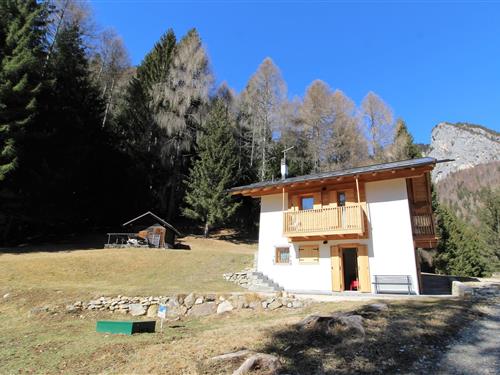 Feriehus / leilighet - 5 personer -  - 32040 - Lozzo Di Cadore