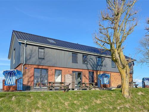 Holiday apartment - 2 persons -  - Mitteldeich - 25845 - Nordstrand