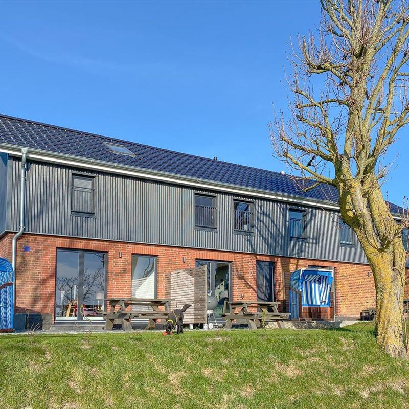 Ferielejlighed - 2 personer -  - Mitteldeich - 25845 - Nordstrand