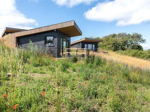 Sommerhus - 4 personer -  - Sejerøvej - Sejerø Strand - 4592 - Sejerø