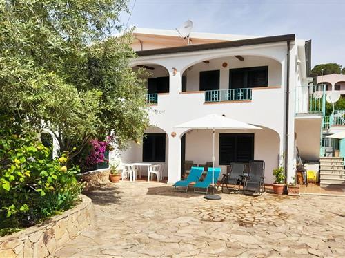 Ferienhaus - 8 Personen -  - Vico Sas Linnas Siccas - 08028 - Sas Linnas Siccas