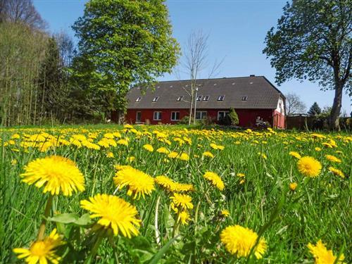 Feriehus / leilighet - 6 personer -  - Am Tribohmer Bach - 18320 - Ahrenshagen-Daskow