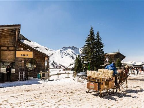 Semesterhus/Semesterlägenhet - 5 personer -  - 74110 - Avoriaz