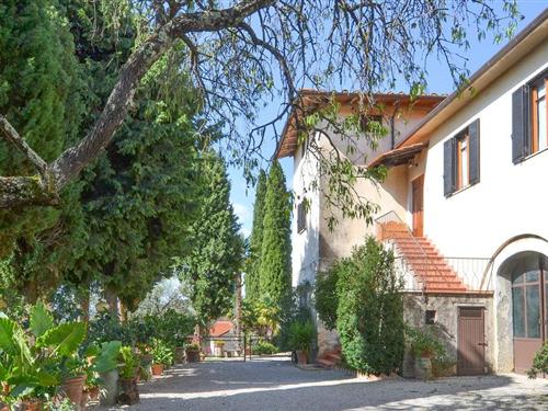 Sommerhus - 4 personer -  - Loc. Cozzano - 52043 - Castiglion Fiorentino