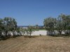 Image 14