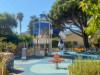 Billede 11