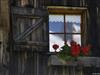 Billede 40