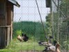 Bild 18