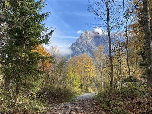 Sommerhus - 4 personer -  - Untere Sonnleiten - 5761 - Maria Alm Am Steinernen M