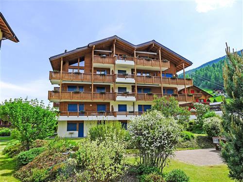 Holiday apartment - 2 persons -  - Grächen - 3925