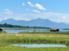 Billede 41
