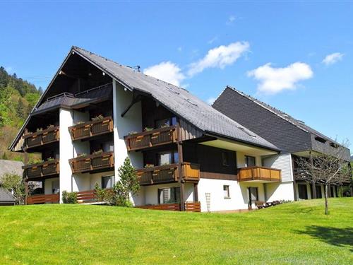 Fritidshus - 6 personer -  - 79837 - Sankt Blasien