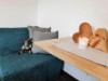 Image 26
